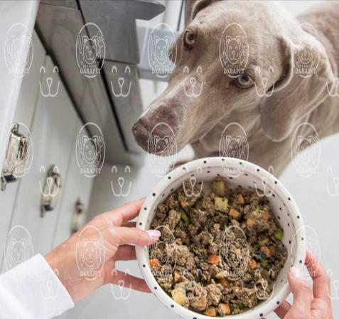 خرید فله ای غذای سگ به قیمت ارزان