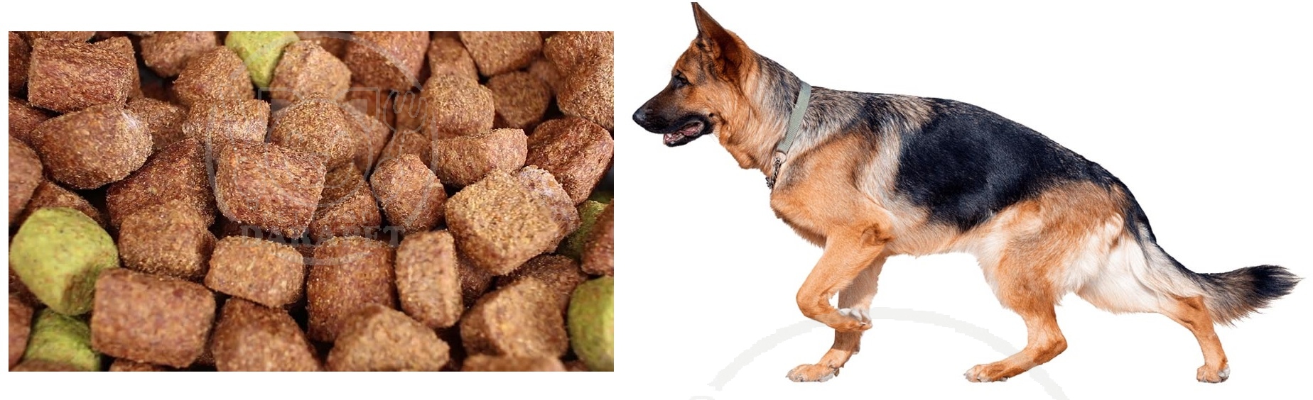 عمده فروشی خوراک سگ نگهبان مفید