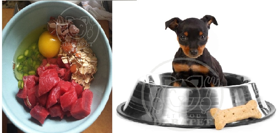 اصول تغذیه سگ نگهبان با خوراک مناسب