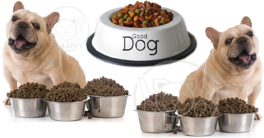 ارائه دهنده خوراک خشک سگ