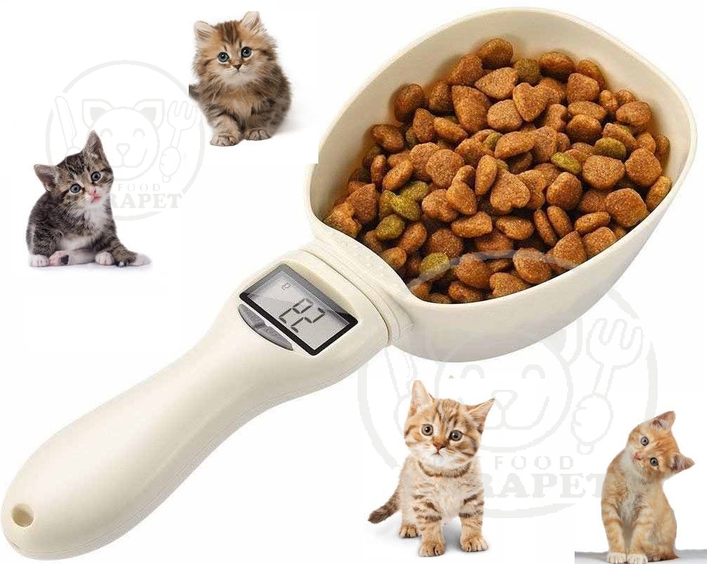 میزان غذای مورد نیاز گربه در روز