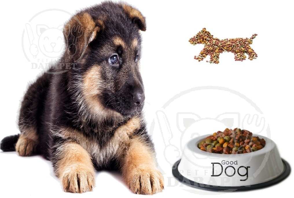 راهنمای انتخاب خوراک سگ ژرمن