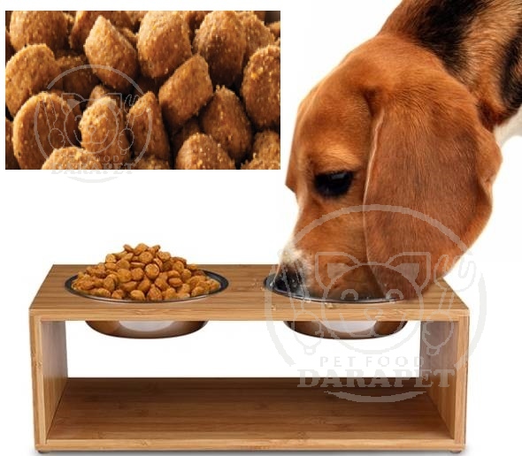 شرکت پخش غذای سگ خانگی