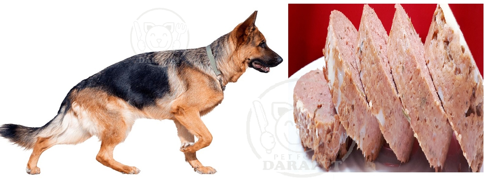 قیمت نهایی خوراک سگ ژرمن با کیفیت بالا