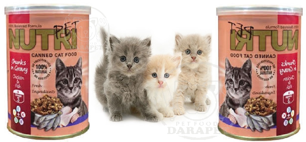بهترین قیمت کنسرو بچه گربه ایرانی