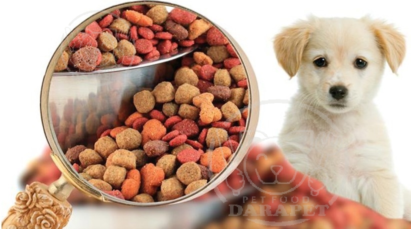 غذای سگ ایرانی چه مشخصاتی دارد؟