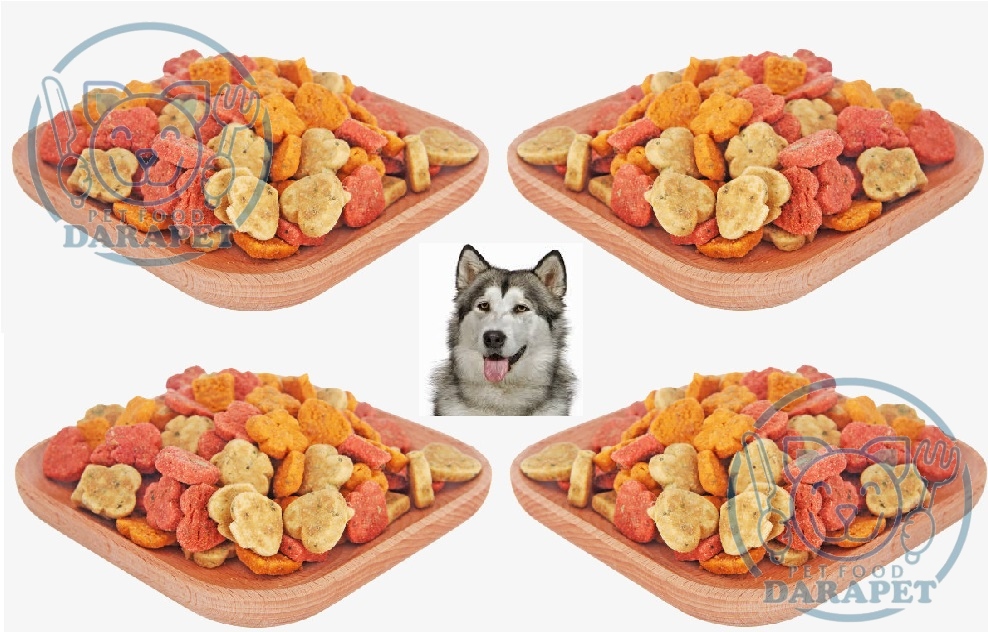 بررسی مشخصات غذای سگ خانگی
