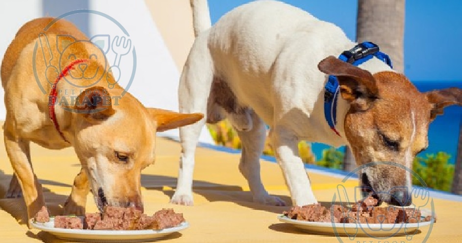 مزایای تغذیه سگ با غذای کنسروی