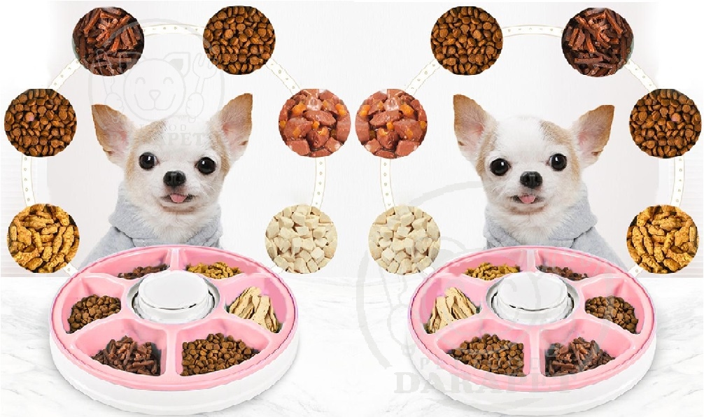 انواع غذای سگ خانگی کدامند؟