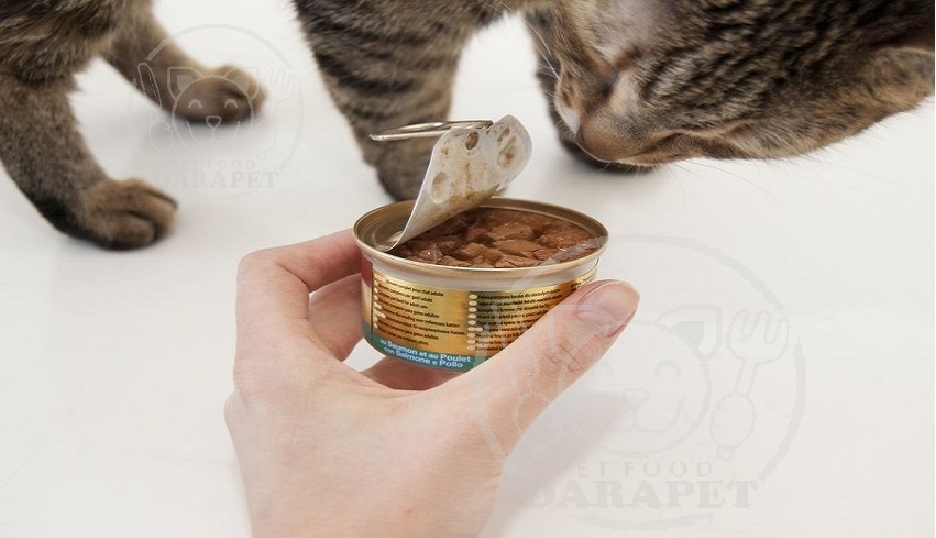 مزایای غذای کنسرو برای گربه ها 