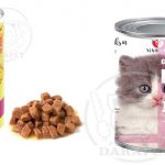 عرضه انواع غذای مناسب برای بچه گربه 6 ماهه