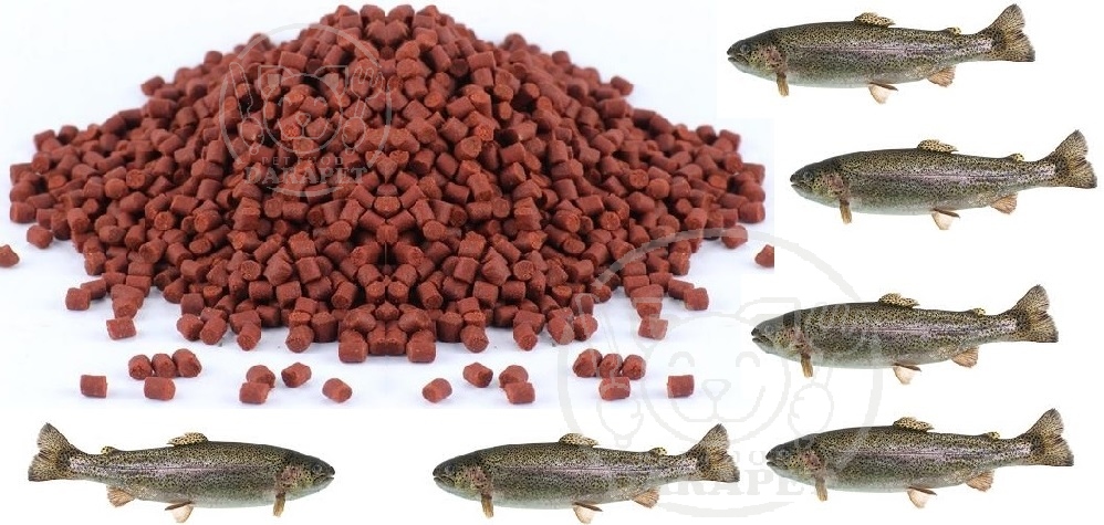 مکمل انواع غذا ماهی قزل آلا