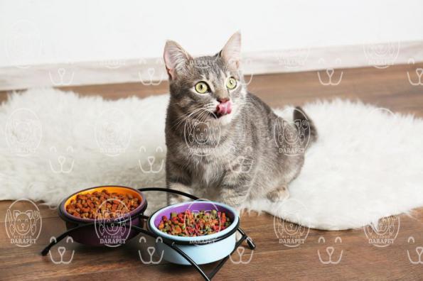 انواع کنسرو غذای گربه را بشناسید