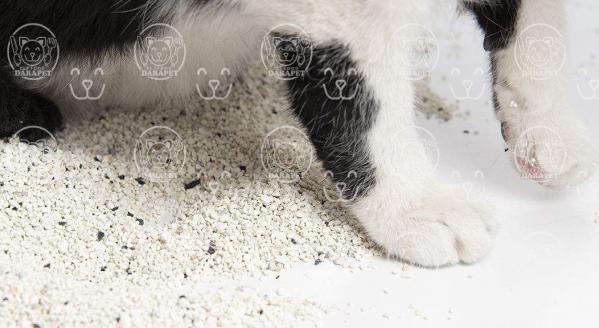 شرکت فروش خاک گربه دانه درشت 1کیلویی