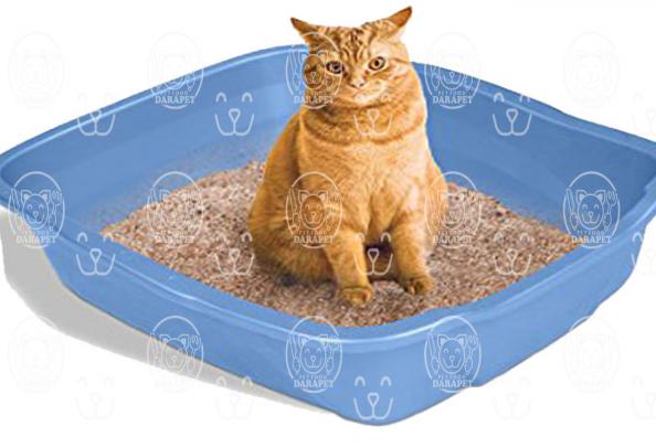 دلایل استفاده خاک گربه پرشین چیست؟