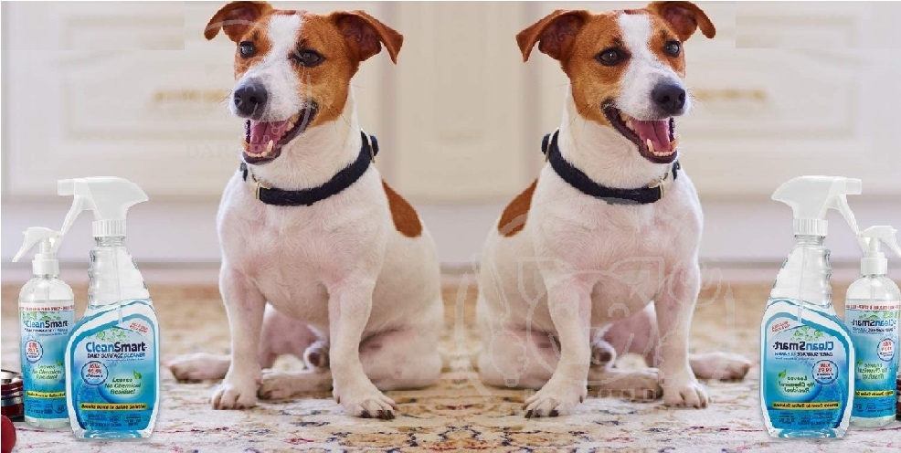 مرجع خرید اسپری ضد عفونی کننده سگ