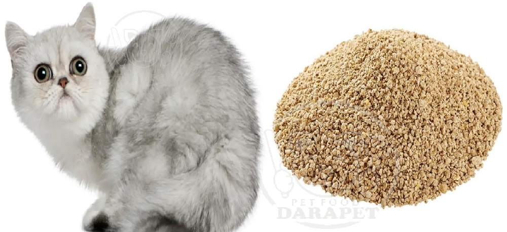 راهنمای خرید خاک گربه ایرانی