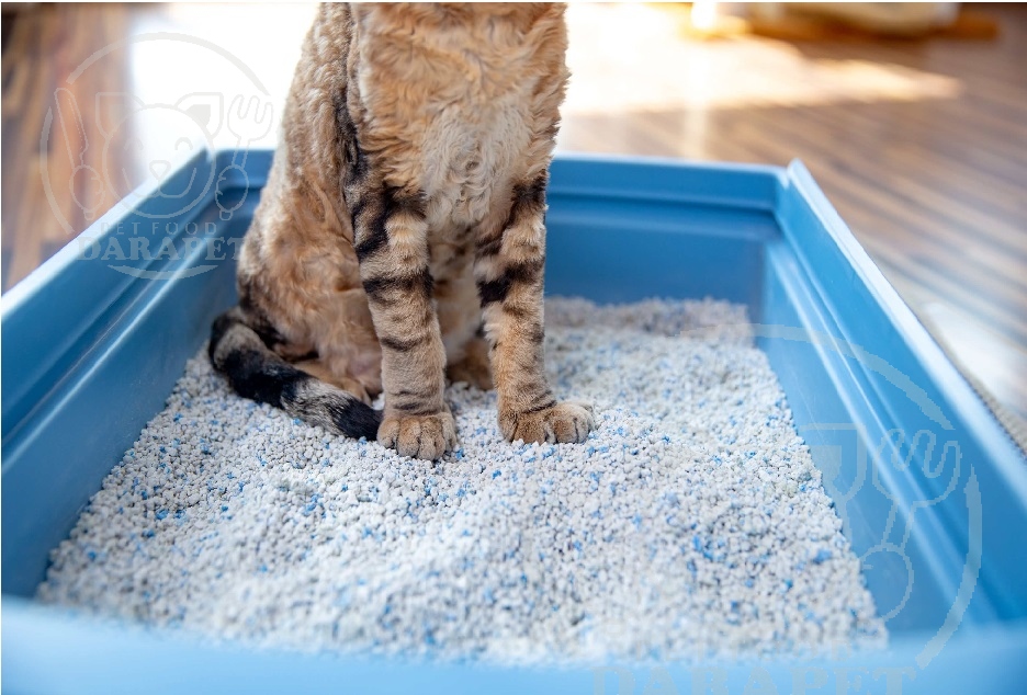 علت استفاده خاک بستر گربه 