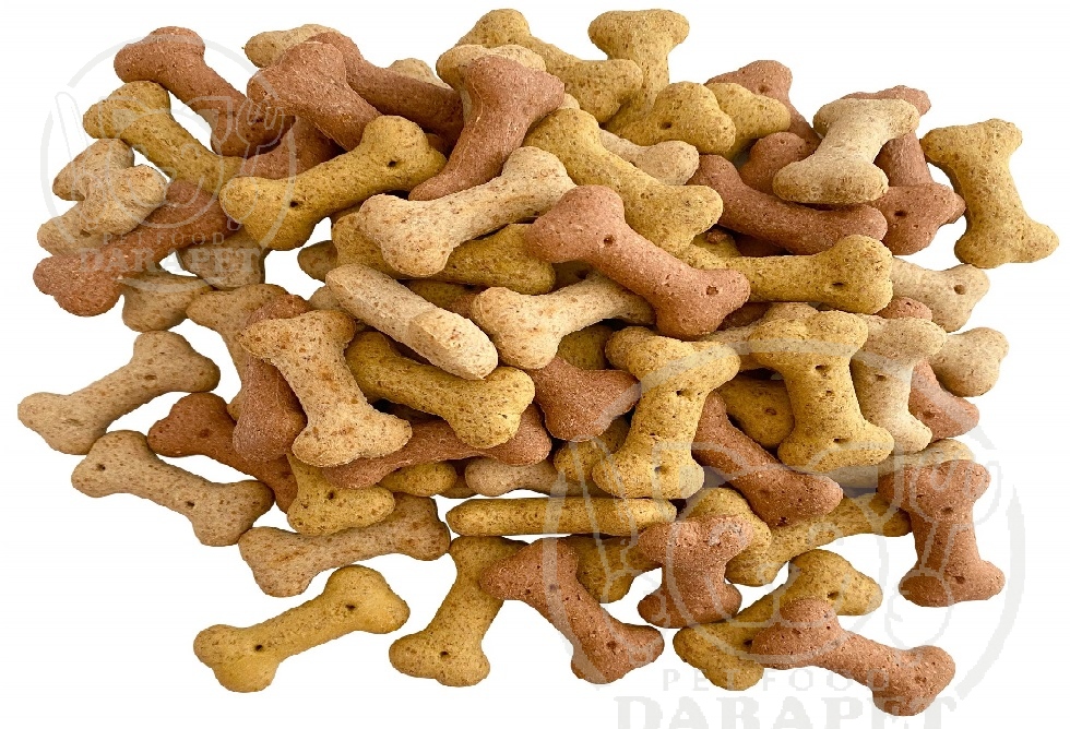 انواع خوراک خشک سگ