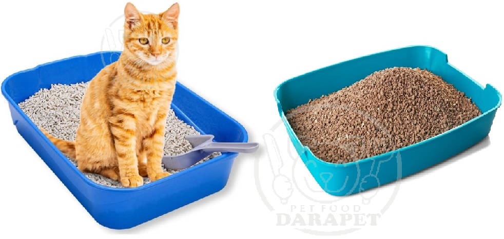 انواع مختلف خاک گربه 