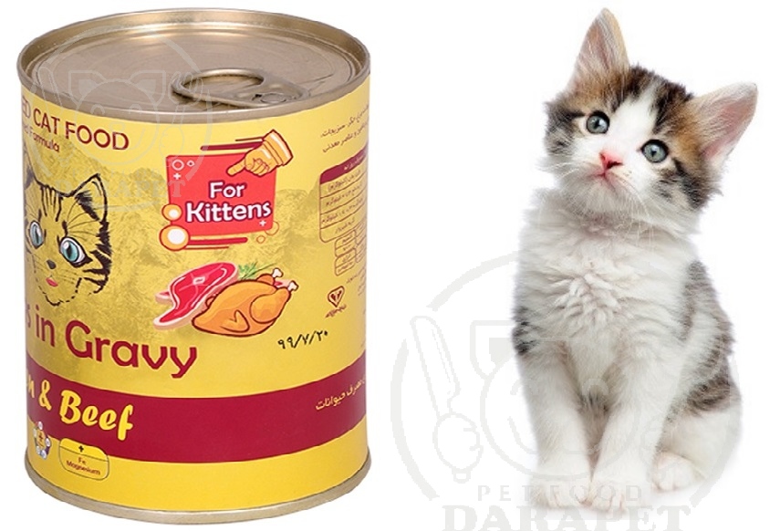  قیمت غذای بچه گربه 6 ماهه