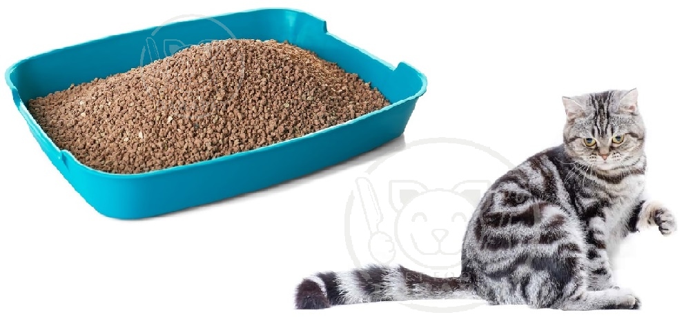 فروشندگان خاک گربه ایرانی