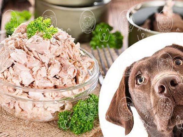 اطلاعاتی مختصر در مورد کنسرو سگ طعم گوشت