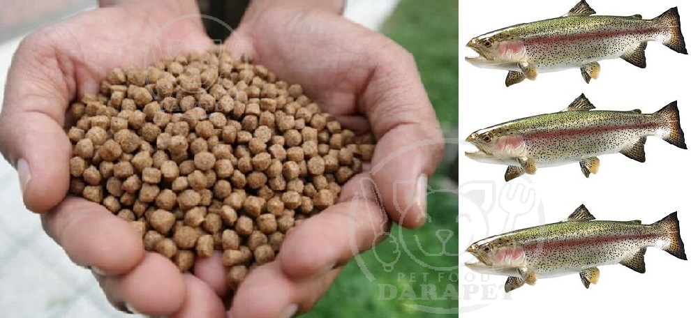 شرکت پخش غذای ماهی قزل آلای پرورشی