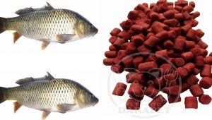 توزیع کننده خوراک ماهی کپور پرورشی