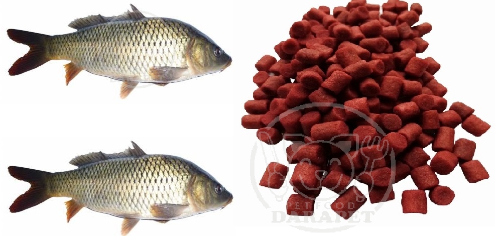 توزیع کننده خوراک ماهی کپور پرورشی