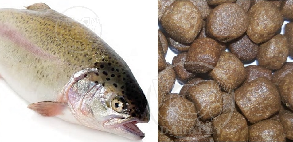 خاصیت غذای ماهی قزل آلای پرورشی