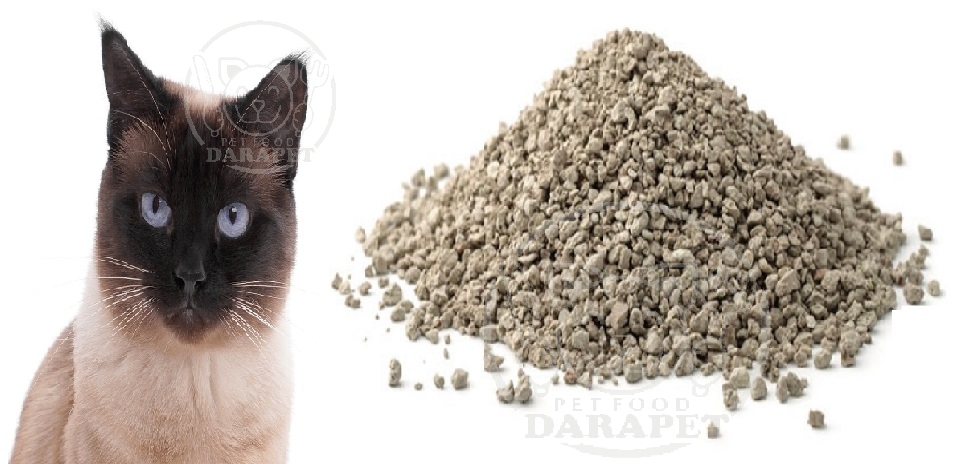 پخش کننده خاک گربه ایرانی
