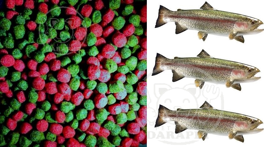 مدل های غذا ماهی قزل آلای پرورشی