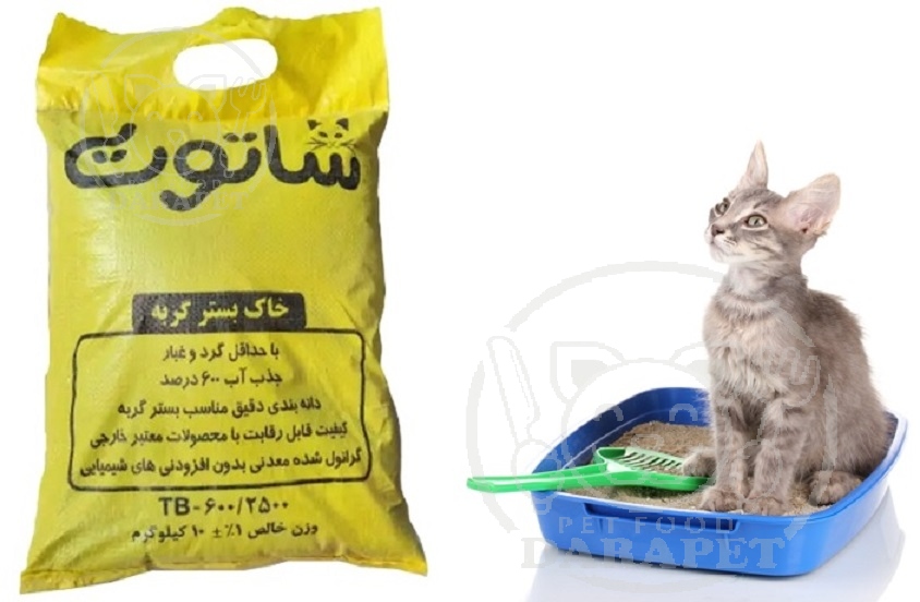 سفارش خاک گربه ایرانی