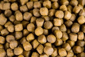 سفارش خوراک آبزیان